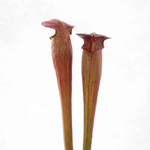 H2mIsc62CpW0TLFd5sAN.jpg H2mIsc62CpW0TLFd5sAN.jpg