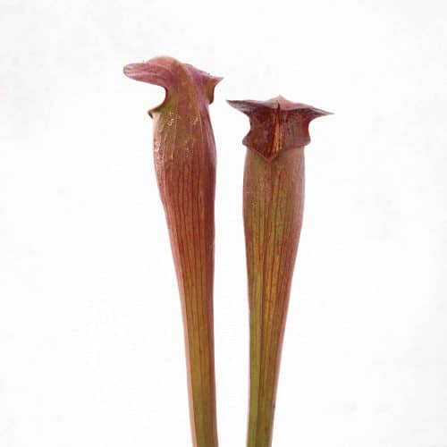 H2mIsc62CpW0TLFd5sAN.jpg H2mIsc62CpW0TLFd5sAN.jpg