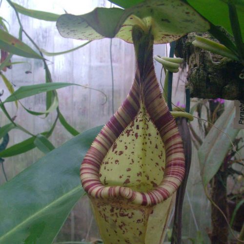 H33aSXz2UN09N4LRcOfu.jpg H33aSXz2UN09N4LRcOfu.jpg