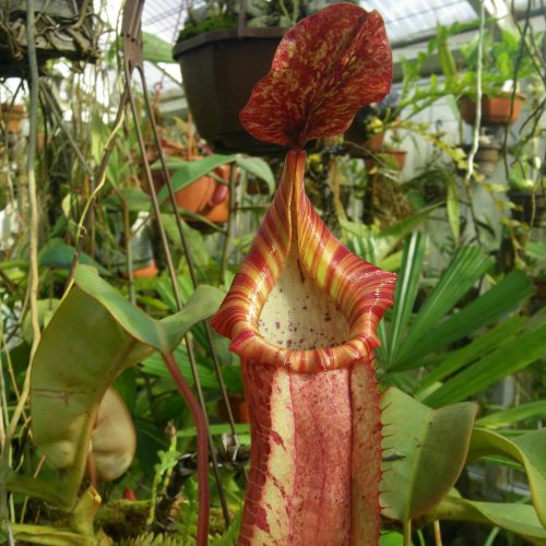 H9hAl49dqxmc4x6aByBZ.jpg H9hAl49dqxmc4x6aByBZ.jpg