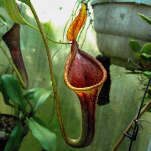 HFMHlCFelExwRTSKR0lC.jpg HFMHlCFelExwRTSKR0lC.jpg