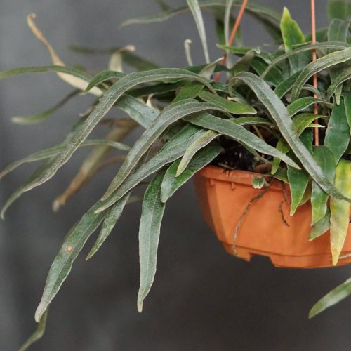 HQtR4WSB5hrlSU5jCizx.jpg HQtR4WSB5hrlSU5jCizx.jpg