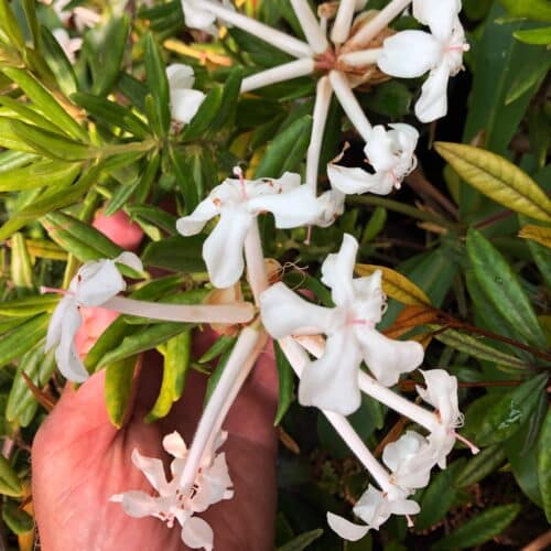 HSZVBL1tUJIBszjKjQ8R.jpg HSZVBL1tUJIBszjKjQ8R.jpg