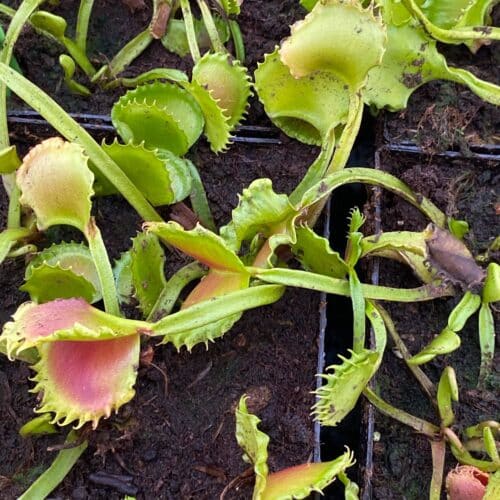 HbuvVzfwW1aDvSgazHqX.jpg HbuvVzfwW1aDvSgazHqX.jpg