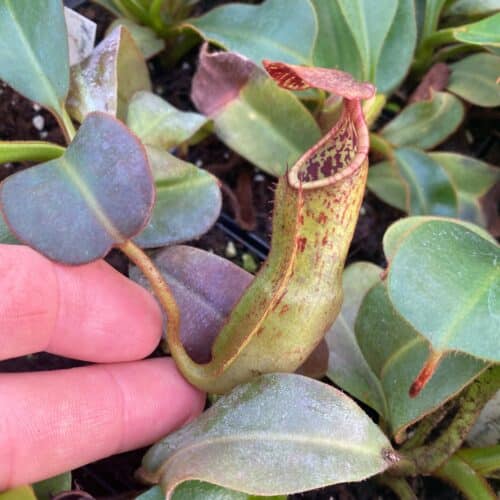 Hdvo6Zz50wqjNftEbFKb.jpg Hdvo6Zz50wqjNftEbFKb.jpg