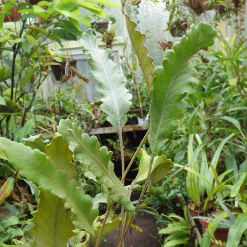 HeDbr9vWORPju2enhju6.jpg HeDbr9vWORPju2enhju6.jpg