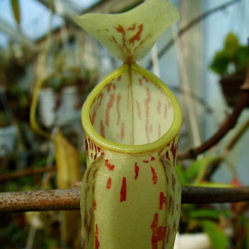 Hh4sSZuTtDR9u2OuabPR.jpg Hh4sSZuTtDR9u2OuabPR.jpg