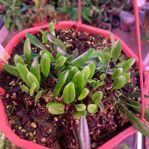 HkJQ42dvTGrWtFN6AGlz.jpg HkJQ42dvTGrWtFN6AGlz.jpg