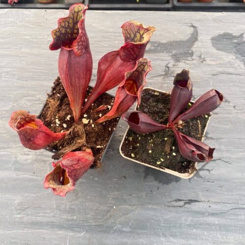 Hn2aGofIp6lZB67rKlfs.jpg Hn2aGofIp6lZB67rKlfs.jpg