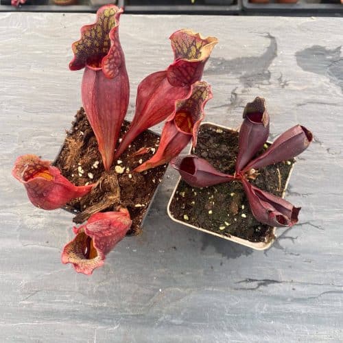 Hn2aGofIp6lZB67rKlfs.jpg Hn2aGofIp6lZB67rKlfs.jpg