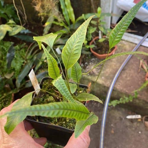 HpORQ0bjaonMvBheRBCM.jpg HpORQ0bjaonMvBheRBCM.jpg