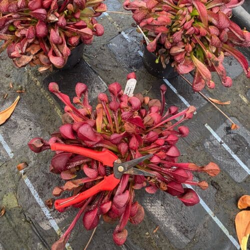 HrsypaTtZAwvlC7C99Je.jpg HrsypaTtZAwvlC7C99Je.jpg