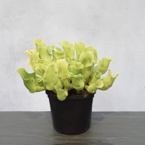 HtWhNwrmudwM82DvaHRd.jpg HtWhNwrmudwM82DvaHRd.jpg