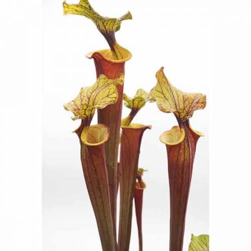 I08AbDQVilxMDzNgxzUS.jpg I08AbDQVilxMDzNgxzUS.jpg