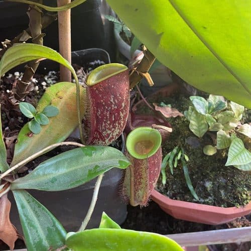 I2Fyp4X5lkSrl0DHRoJ9.jpg I2Fyp4X5lkSrl0DHRoJ9.jpg