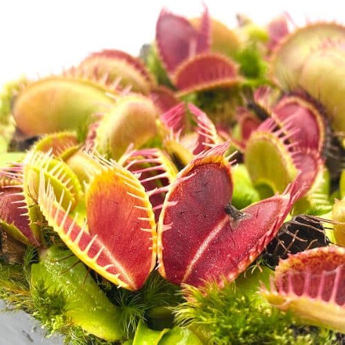 I2VX8hqE60unNL8irkaB-1.jpg I2VX8hqE60unNL8irkaB-1.jpg