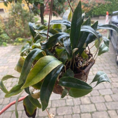 ICY980ikbbCAZgoBC7Z0.jpg ICY980ikbbCAZgoBC7Z0.jpg