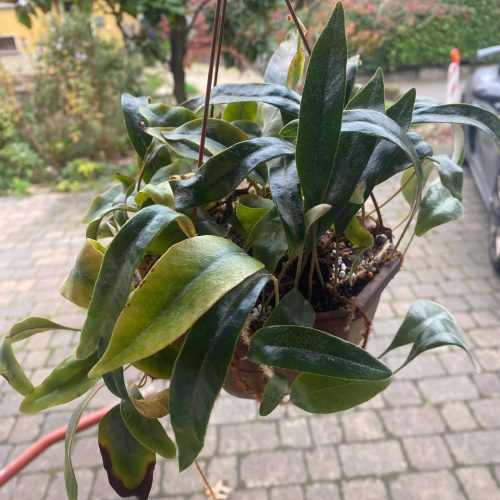 ICY980ikbbCAZgoBC7Z0.jpg ICY980ikbbCAZgoBC7Z0.jpg