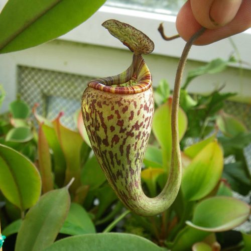 IF9QBi5V7dmn9Huk3oad.jpg IF9QBi5V7dmn9Huk3oad.jpg