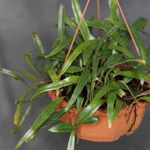 IPSPUvu2SAzAuB6NqwKE.jpg IPSPUvu2SAzAuB6NqwKE.jpg