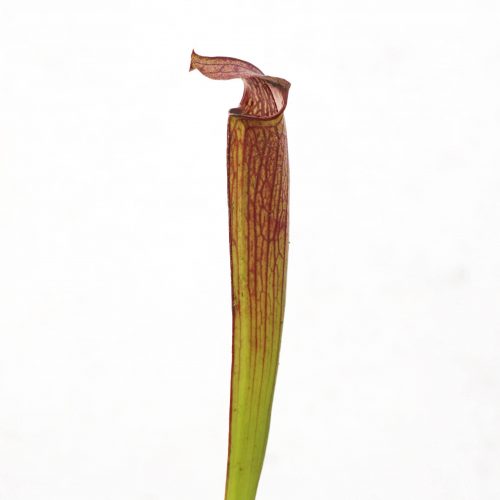 IVzXDFIUHUCyAnT3d9DC.jpg IVzXDFIUHUCyAnT3d9DC.jpg