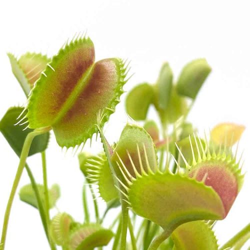 IclO7gBi4KEEWyTWHIq2.jpg IclO7gBi4KEEWyTWHIq2.jpg