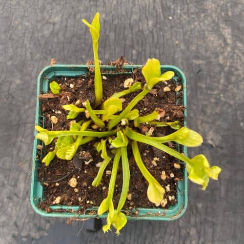 IhYup9cIh5uAsNhIccY6.jpg IhYup9cIh5uAsNhIccY6.jpg