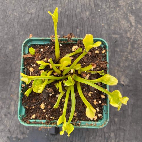 IhYup9cIh5uAsNhIccY6.jpg IhYup9cIh5uAsNhIccY6.jpg