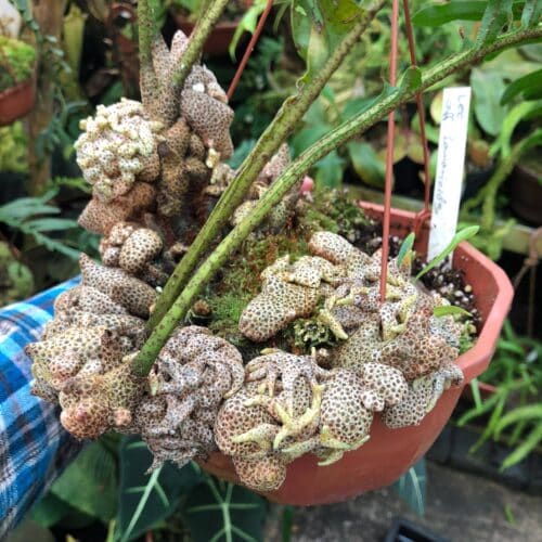 IweNVnlEkcvhacQpHVeb.jpg IweNVnlEkcvhacQpHVeb.jpg