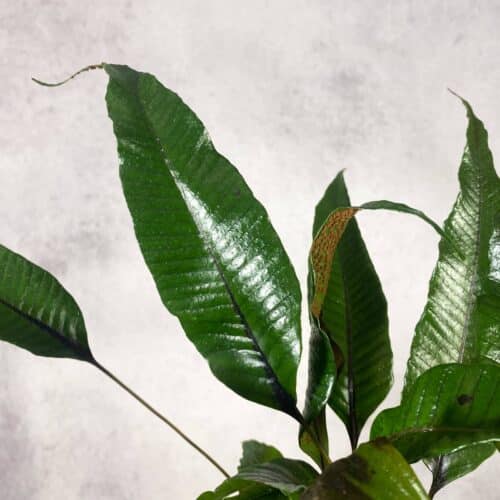 IxNGXN6HlxSpboxLzyQe.jpg IxNGXN6HlxSpboxLzyQe.jpg