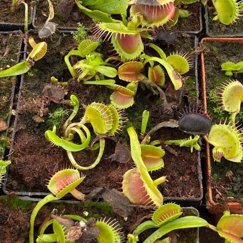 IzPcKqNOYfZpPmUK0Yas.jpg IzPcKqNOYfZpPmUK0Yas.jpg