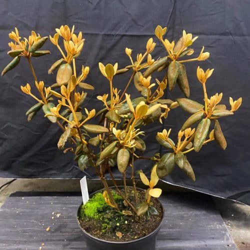 J1bMJzWmUvQlr7J2Qdml.jpg J1bMJzWmUvQlr7J2Qdml.jpg