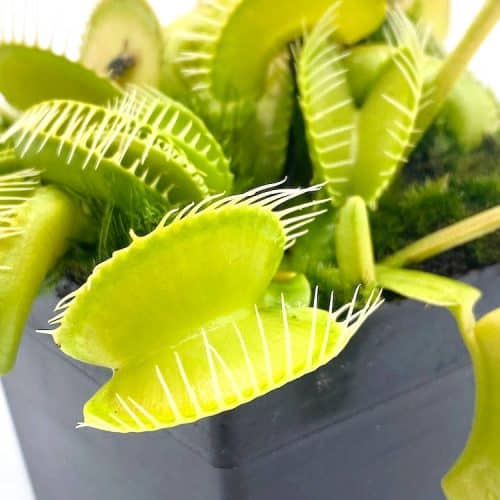 J4jfl33cnhniMSNCo0nU-1.jpg J4jfl33cnhniMSNCo0nU-1.jpg