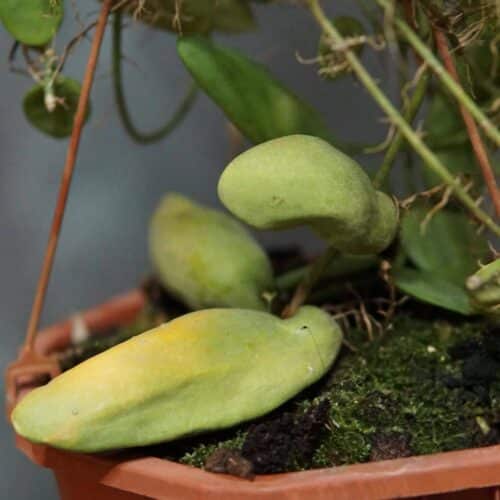 J8YDEg4uJqQa2XWZrE49.jpg J8YDEg4uJqQa2XWZrE49.jpg