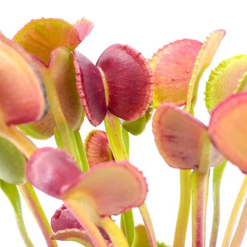 J9f7QmFX7TFFcud85ocz.jpg J9f7QmFX7TFFcud85ocz.jpg