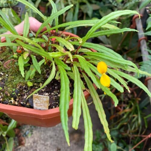 JH3oBQRwAsKeMyb02Okj.jpg JH3oBQRwAsKeMyb02Okj.jpg