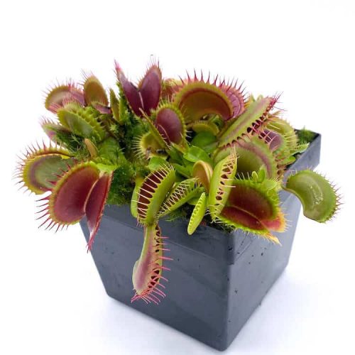 JJtSyBpulBXdlZ1pmALM.jpg JJtSyBpulBXdlZ1pmALM.jpg