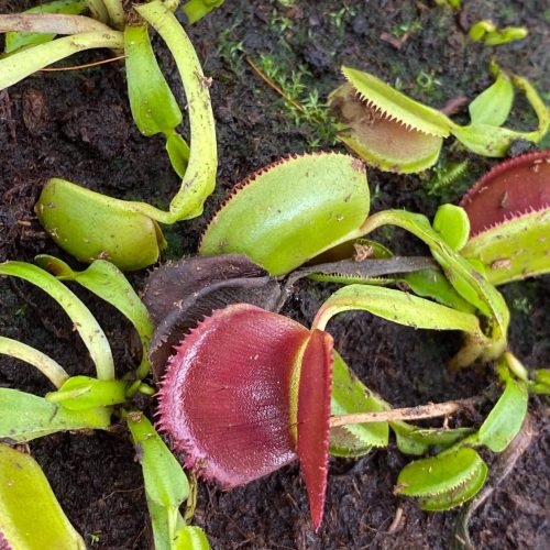 JdDvyiBEylnHlSStTuPT.jpg JdDvyiBEylnHlSStTuPT.jpg