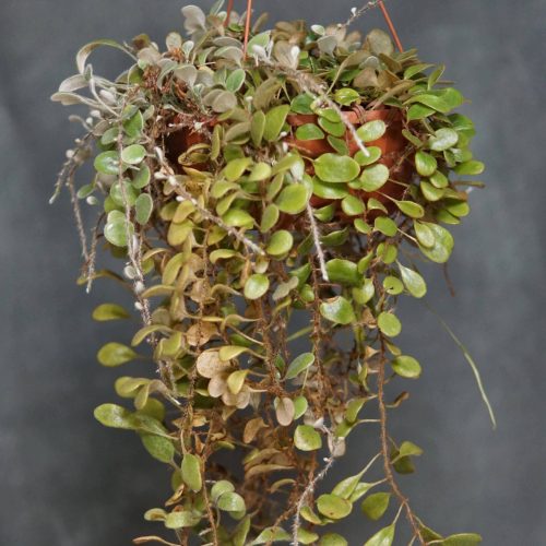 JhZ8bQnSq2EfOJ0s7b16.jpg JhZ8bQnSq2EfOJ0s7b16.jpg