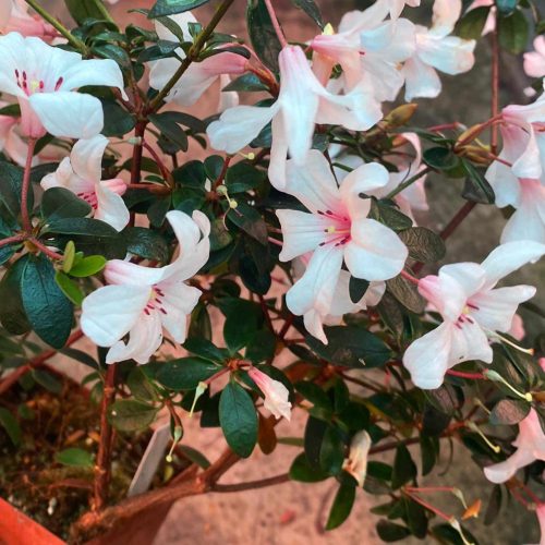 JhxXMaSTDNPWRiYhRaUP.jpg JhxXMaSTDNPWRiYhRaUP.jpg