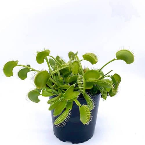 JsStCNEuzVK2BPmCylR4-1.jpg JsStCNEuzVK2BPmCylR4-1.jpg