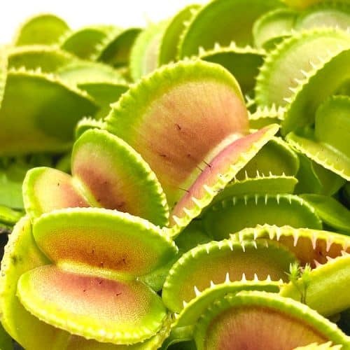 JxhEtwoiDFXsMIInMgbi-1.jpg JxhEtwoiDFXsMIInMgbi-1.jpg