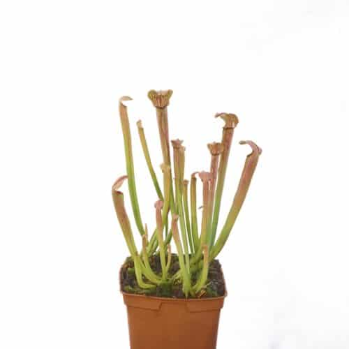 K6nm1GgMaNAFiBim0SmI.jpg K6nm1GgMaNAFiBim0SmI.jpg