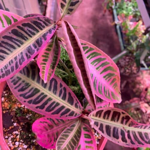 KRknjeb2vmDEtKsLIgFN.jpg KRknjeb2vmDEtKsLIgFN.jpg