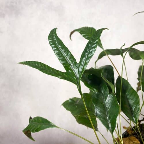 KaQcpdcpBMFF7jMfYRWI.jpg KaQcpdcpBMFF7jMfYRWI.jpg