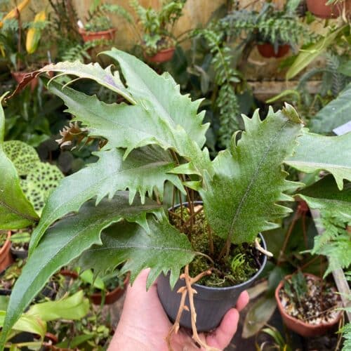 KcxwMudjlZtITWJ6l3cJ.jpg KcxwMudjlZtITWJ6l3cJ.jpg