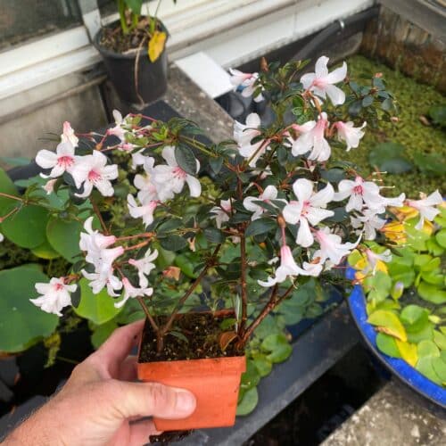 KfLZUoclZDD83xjW5TlM.jpg KfLZUoclZDD83xjW5TlM.jpg