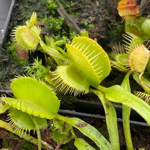 Kg0kZpsD2cMikZY1uwuC.jpg Kg0kZpsD2cMikZY1uwuC.jpg