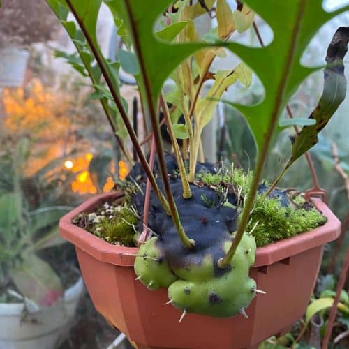 Kms3kC2w2r1F5iYCt2ai.jpg Kms3kC2w2r1F5iYCt2ai.jpg