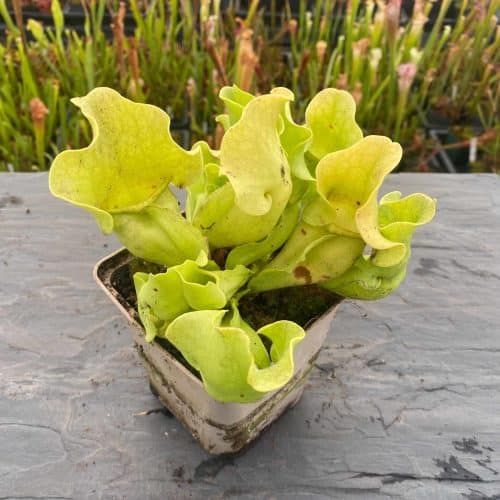 LDdTnjm2UMRHCp3BRExl.jpg LDdTnjm2UMRHCp3BRExl.jpg